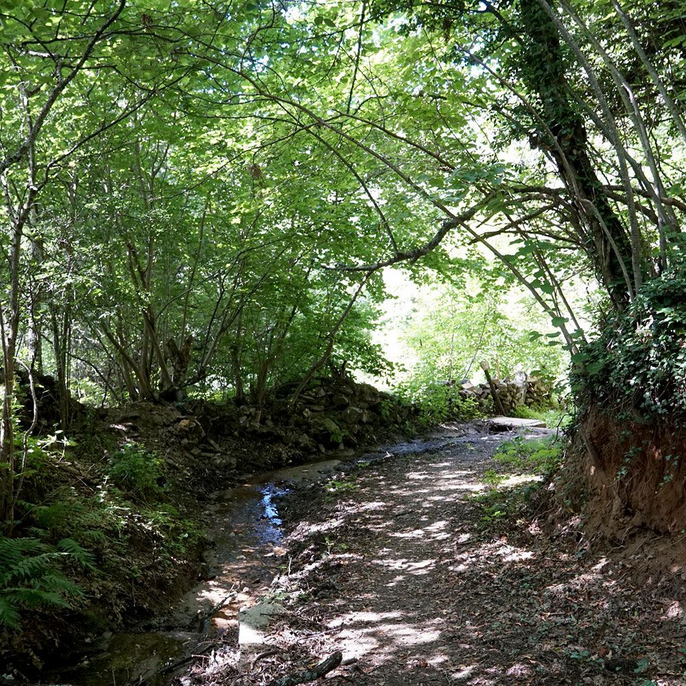 senda-fuente-lugar-03