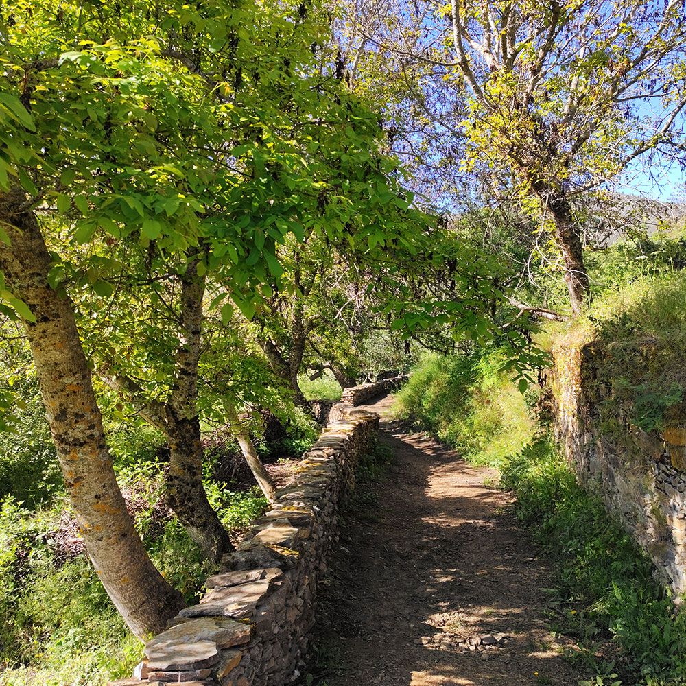 senda-fuente-lugar-05