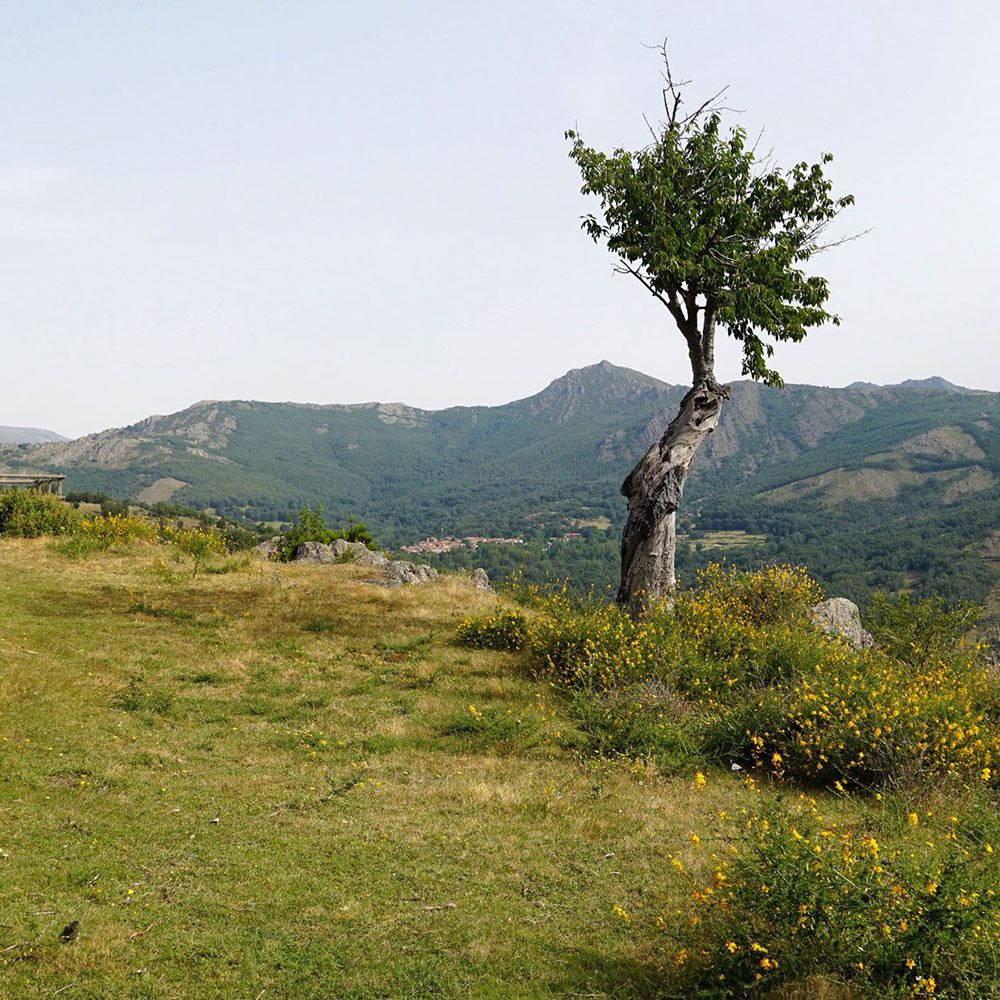senda-las-eras-y-pila-de-riego-01