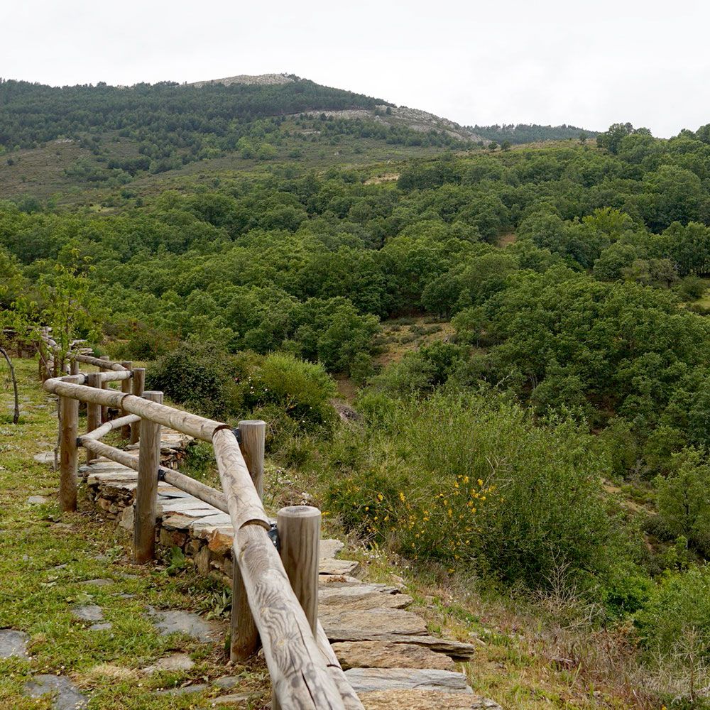 senda-las-eras-y-pila-de-riego-02